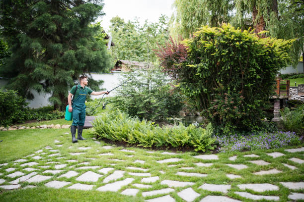 Professional Tree Services in Pelahatchie, MS